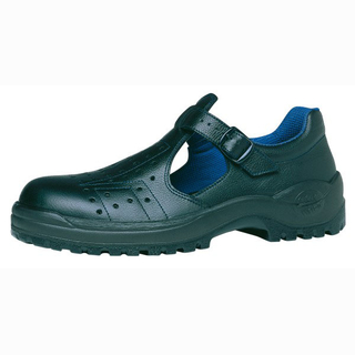 Baltes Swing S1